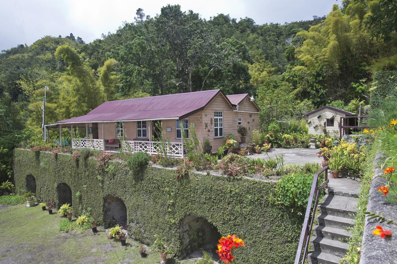 Barbecue Heritage Gardens Cottage - Jm Ньюкасл Экстерьер фото